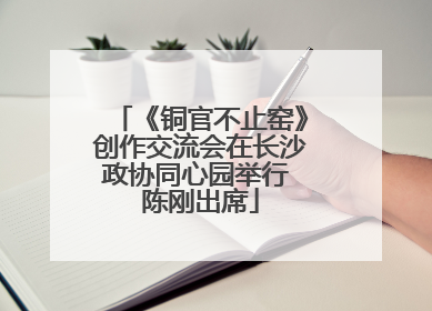 《铜官不止窑》创作交流会在长沙政协同心园举行 陈刚出席
